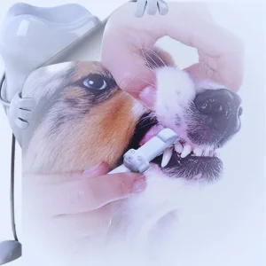 Tierzahnbürste für Hunde und Katzen mit 360° Reinigungskopf und Antibakteriellen Borsten